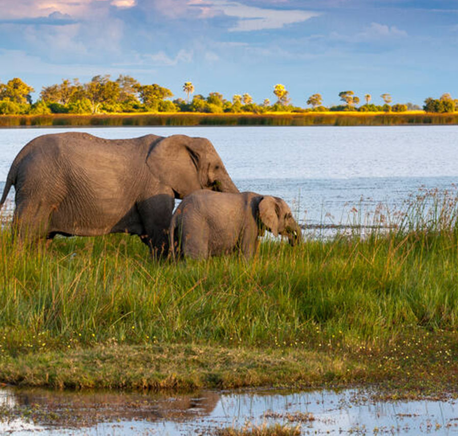 Okavango Delta, Botswana
